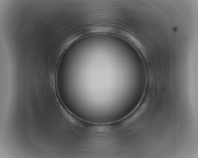 X0000112381041200908201518