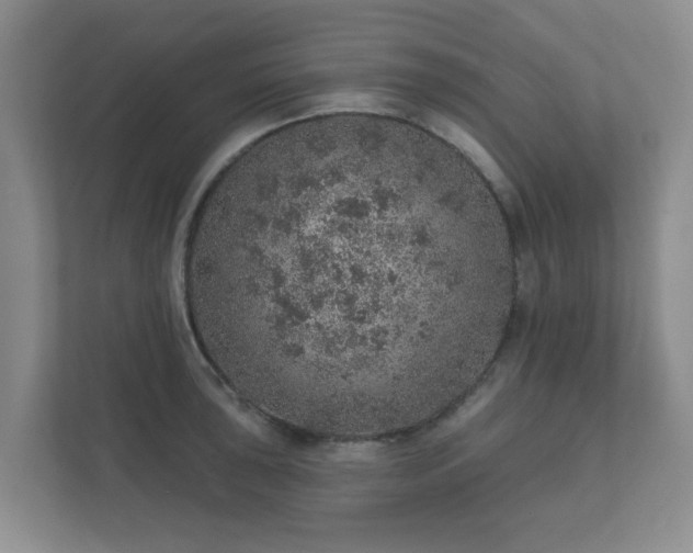 X0000112381043200908201518