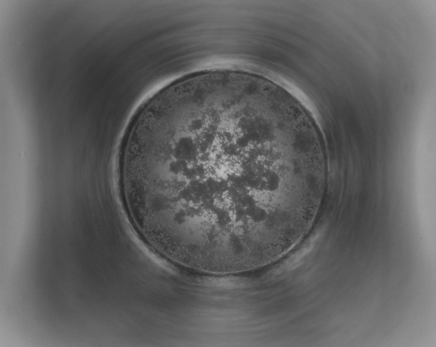 X0000112381045200908201518