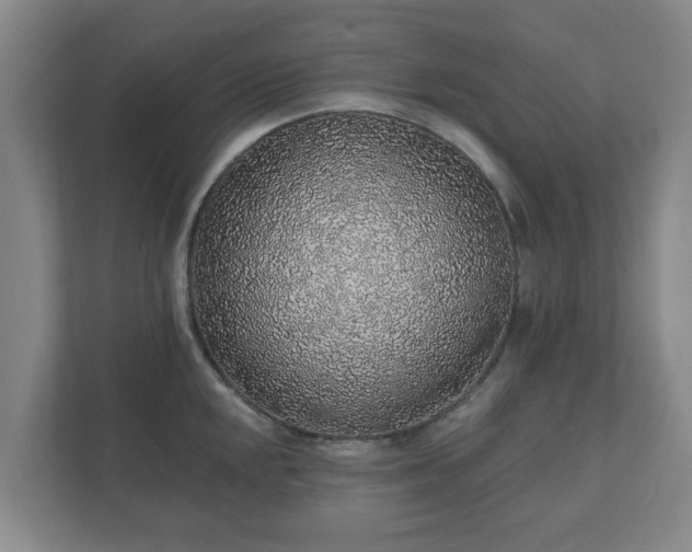 X0000112381048200908201518