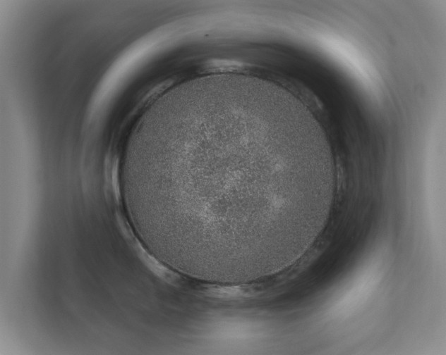 X0000112381054200908201518