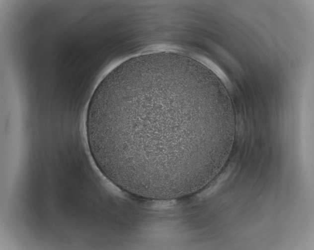 X0000112381055200908201518