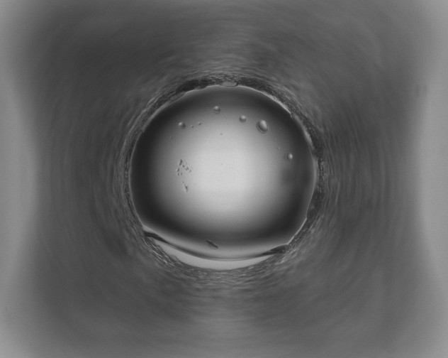 X0000112381057200908201518