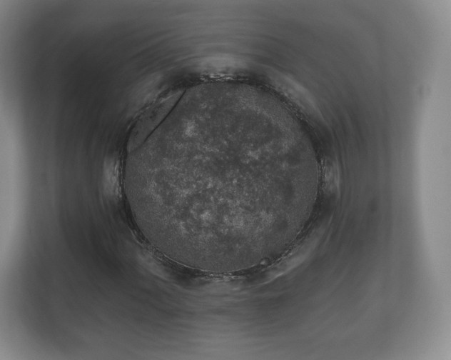 X0000112381060200908201518