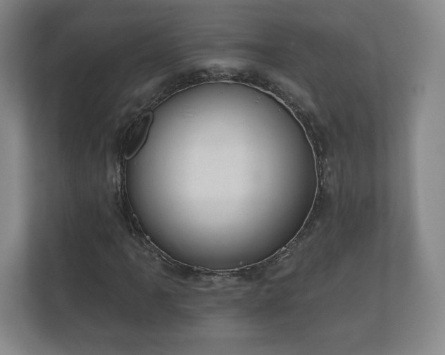 X0000112381061200908201518