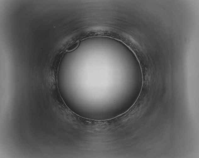 X0000112381062200908201518