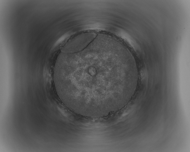 X0000112381064200908201518