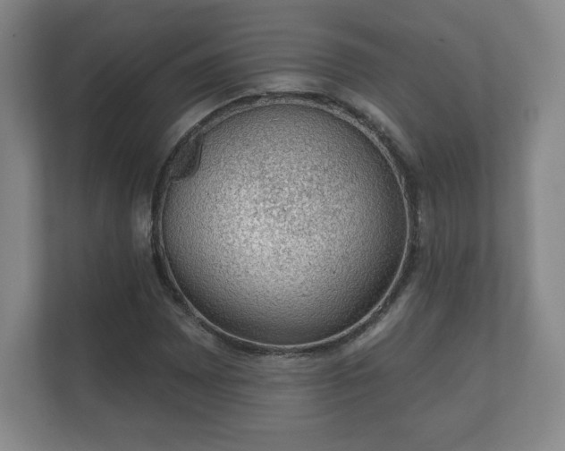 X0000112381065200908201517