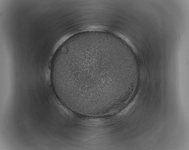 X0000112381066200908201517