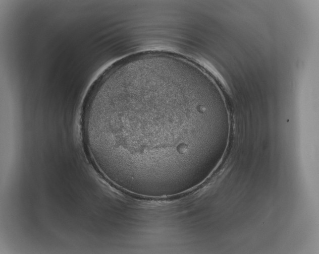 X0000112381068200908201517