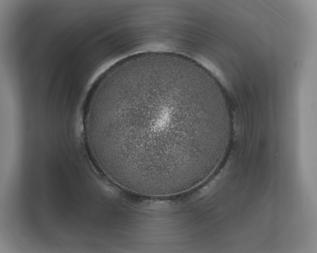 X0000112381070200908201517