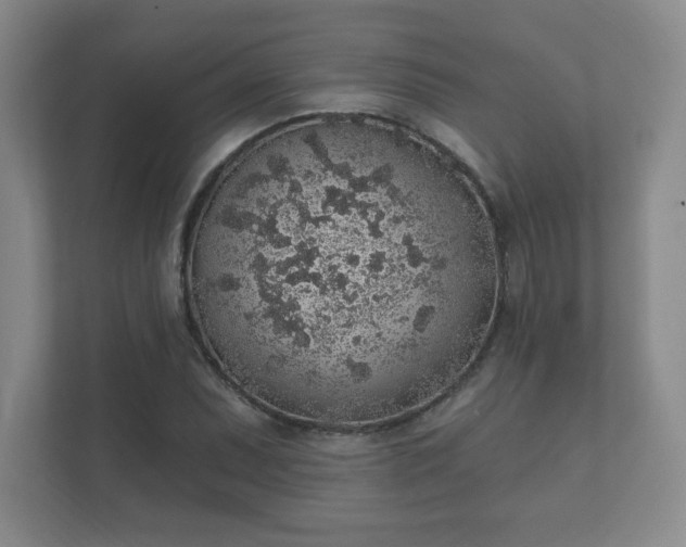 X0000112381071200908201517