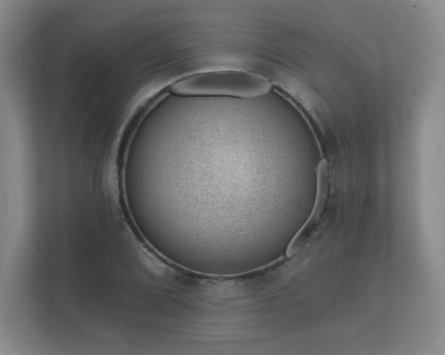 X0000112381072200908201517