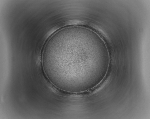 X0000112381073200908201517