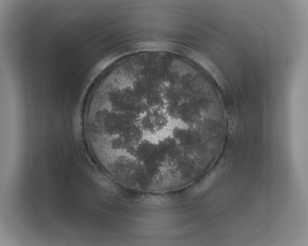 X0000112381074200908201517