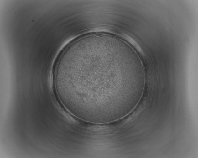 X0000112381076200908201517