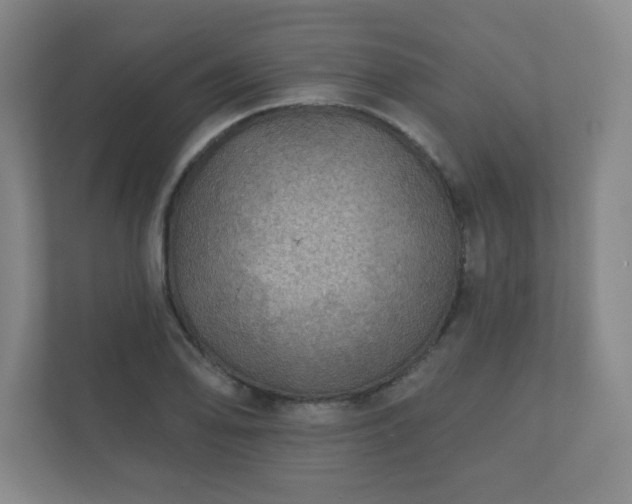 X0000112381078200908201517