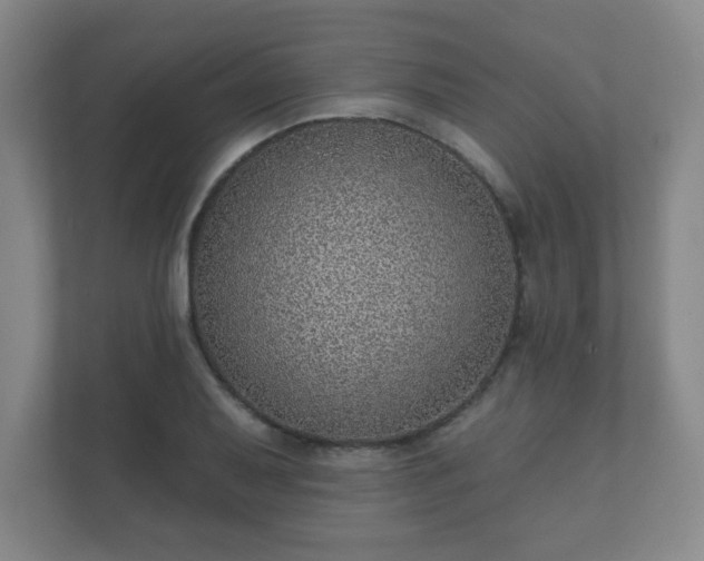 X0000112381079200908201517