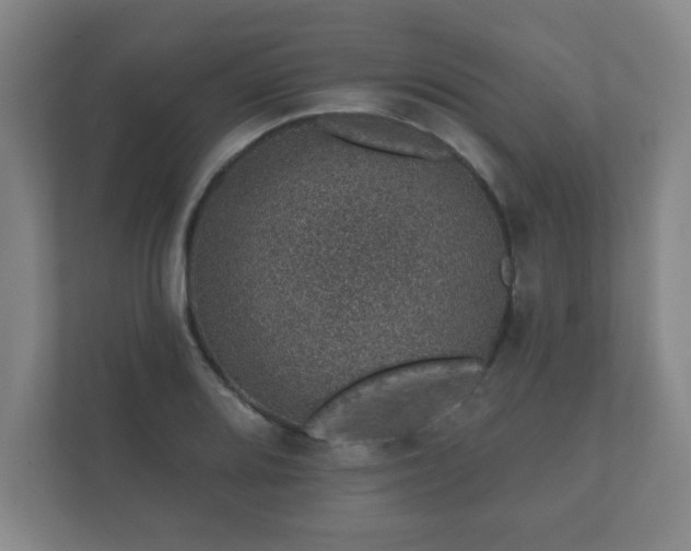 X0000112381080200908201517