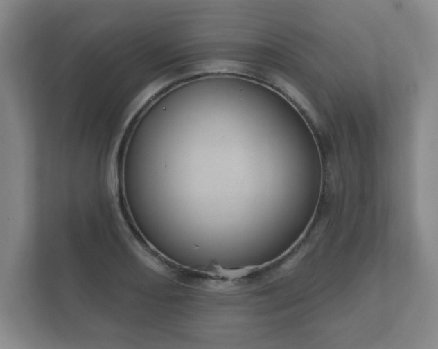 X0000112381082200908201517