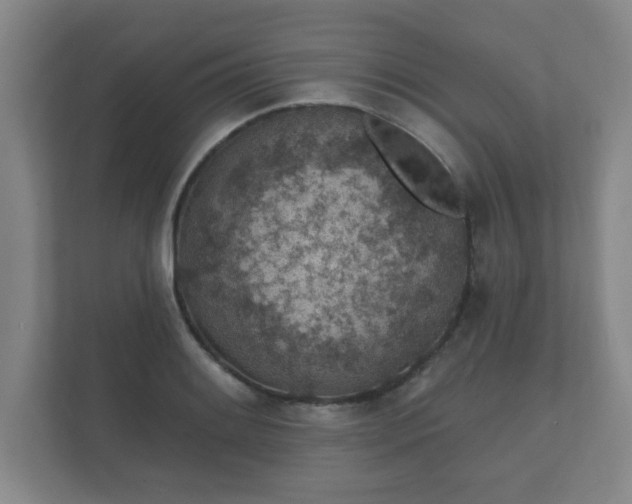 X0000112381084200908201517