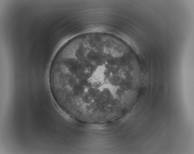 X0000112381086200908201517