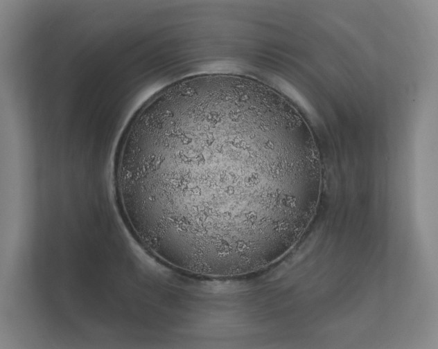 X0000112381087200908201517