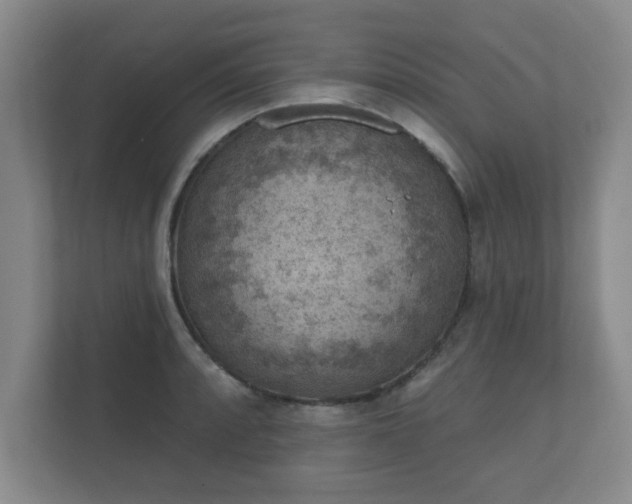 X0000112381088200908201517