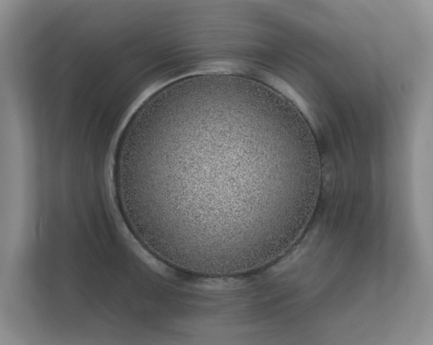 X0000112381091200908201517