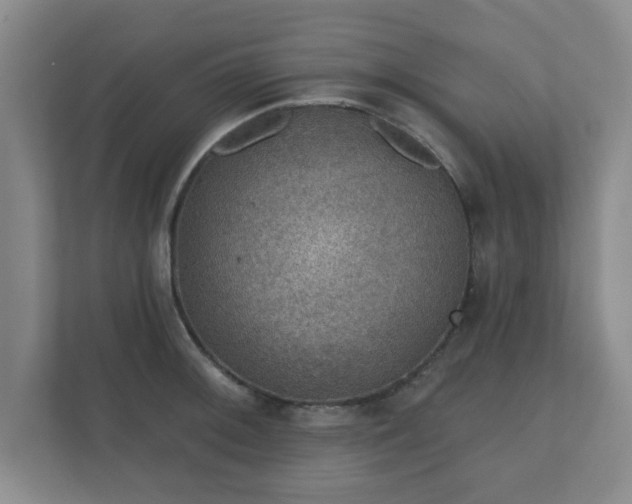 X0000112381092200908201517