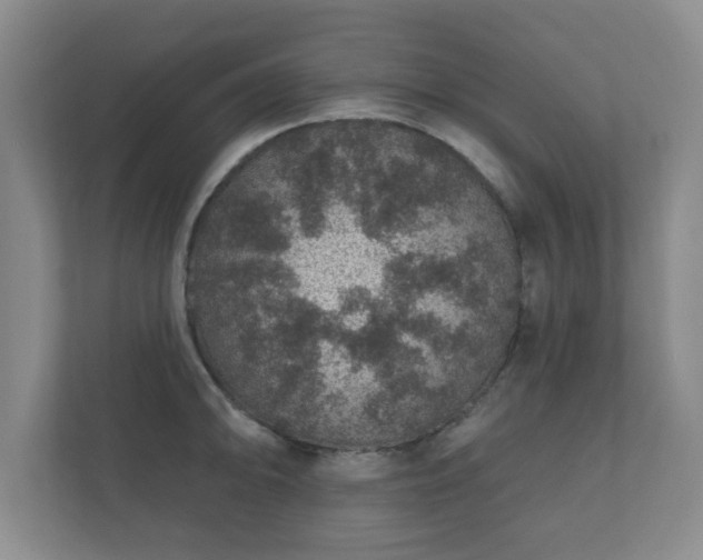 X0000112381094200908201517