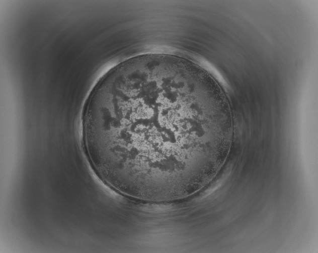 X0000112381095200908201517