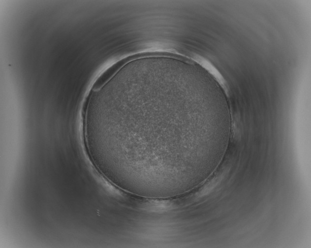 X0000112381096200908201517