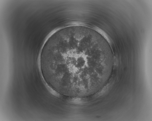 X0000112381098200908201517