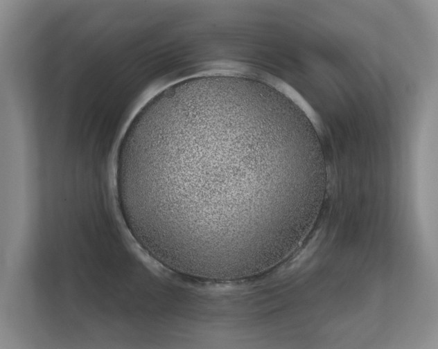 X0000112381099200908201517