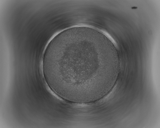 X0000112381100200908201517