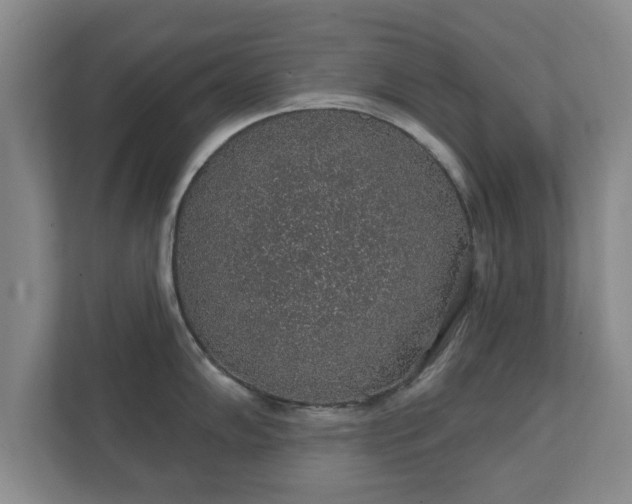 X0000112381102200908201517