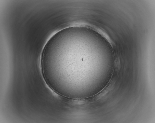 X0000112381103200908201517