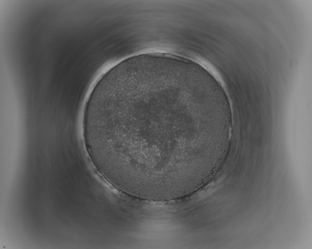 X0000112381104200908201517