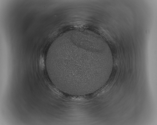 X0000112381106200908201516