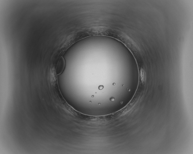 X0000112381107200908201516