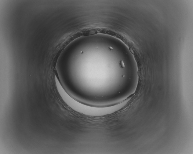 X0000112381110200908201516