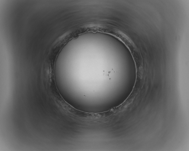 X0000112381111200908201516