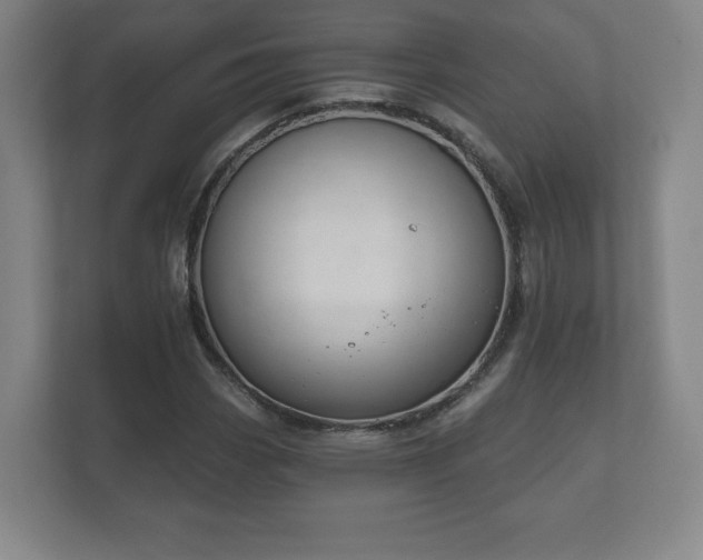 X0000112381113200908201516