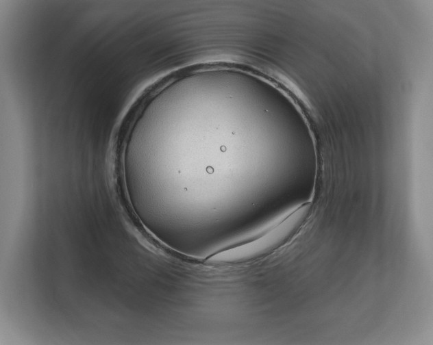 X0000112381116200908201517