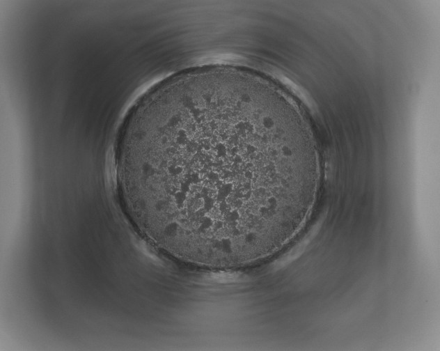 X0000112381117200908201517