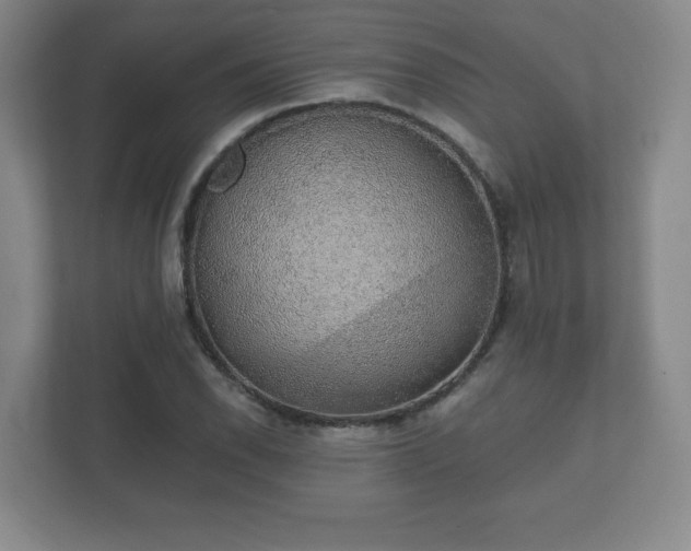 X0000112381118200908201517