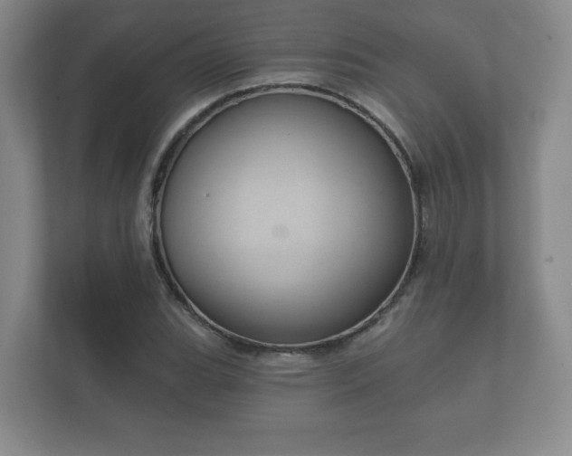 X0000112381119200908201517