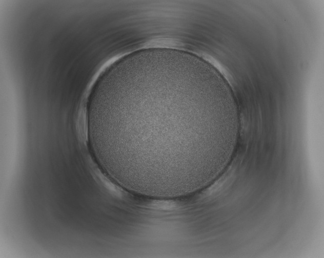 X0000112381123200908201517