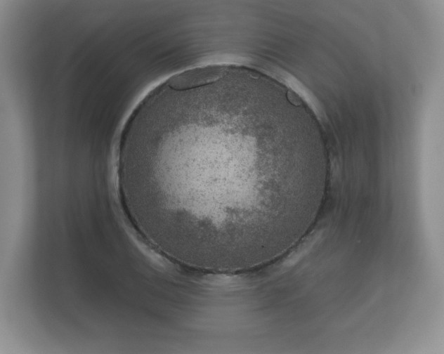 X0000112381124200908201517